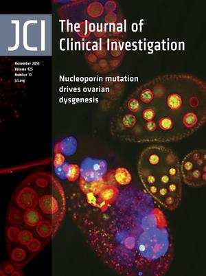 Cover of The Journal of Clinical Investigation, featuring study using the protocol.