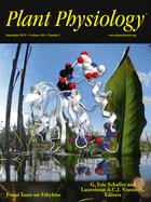 Cover of Plant Physiology, featuring study using the protocol.