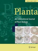 Cover of Planta, featuring study using the protocol.