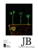 Cover of Journal of Bacteriology, featuring study using the protocol.