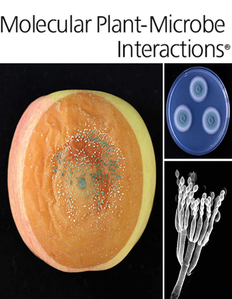 Cover of Molecular Plant Microbe Interactions, featuring study using the protocol.