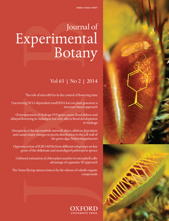 Cover of Journal of Experimental Botany, featuring study using the protocol.