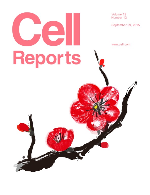 Cover of Cell Reports, featuring study using the protocol.
