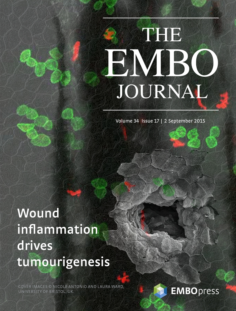 Cover of The EMBO Journal, featuring study using the protocol.