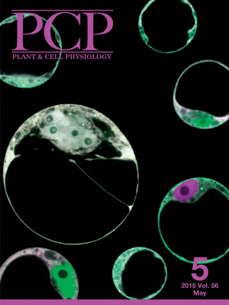 Cover of Plant & Cell Physiology, featuring study using the protocol.