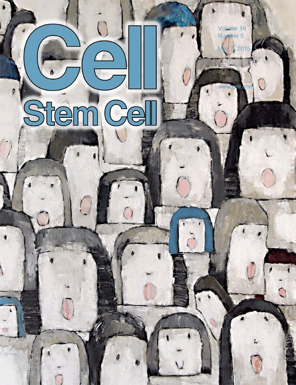 Cover of Cell Stem Cell, featuring study using the protocol.
