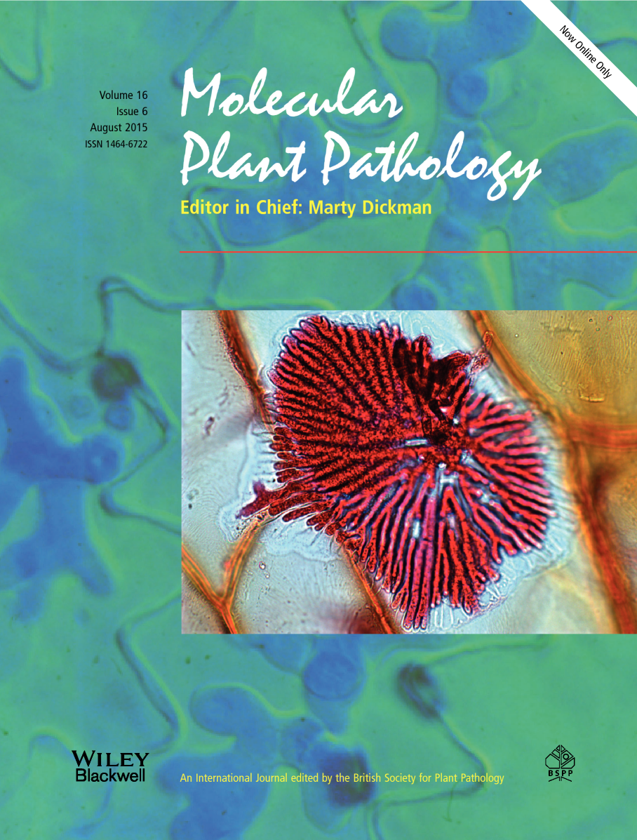 Cover of Molecular Plant Pathology, featuring study using the protocol.