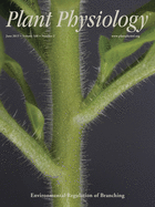 Cover of Plant Physiology, featuring study using the protocol.
