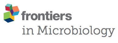Cover of Frontiers in Microbiology, featuring study using the protocol.