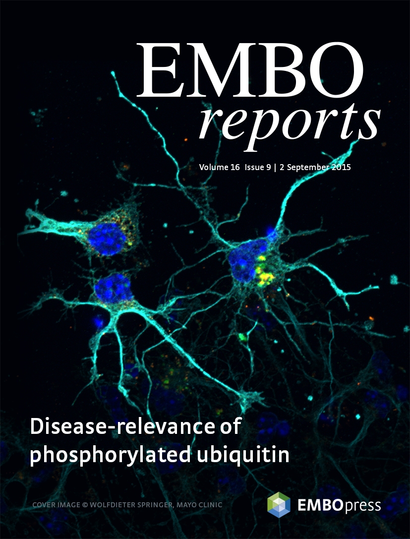 Cover of EMBO Reports, featuring study using the protocol.
