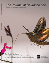 Cover of The Journal of Neuroscience, featuring study using the protocol.