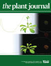 Cover of The Plant Journal, featuring study using the protocol.