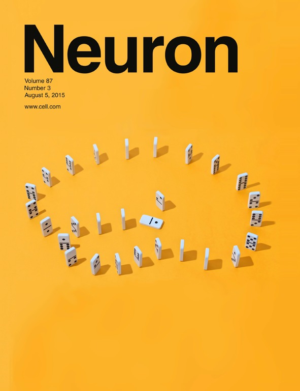 Cover of Neuron, featuring study using the protocol.