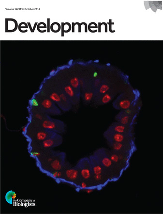 Cover of Development, featuring study using the protocol.