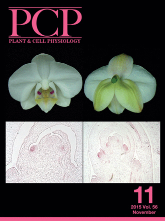 Cover of Plant & Cell Physiology, featuring study using the protocol.