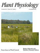Cover of Plant Physiology, featuring study using the protocol.