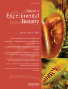Cover of Journal of Experimental Botany, featuring study using the protocol.