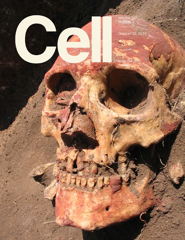 Cover of Cell, featuring study using the protocol.