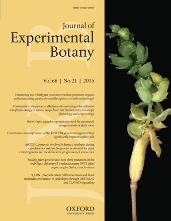 Cover of Journal of Experimental Botany, featuring study using the protocol.