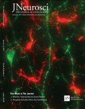 Cover of The Journal of Neuroscience, featuring study using the protocol.