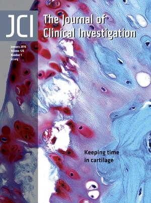 Cover of The Journal of Clinical Investigation, featuring study using the protocol.