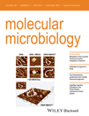 Cover of Molecular Microbiology, featuring study using the protocol.
