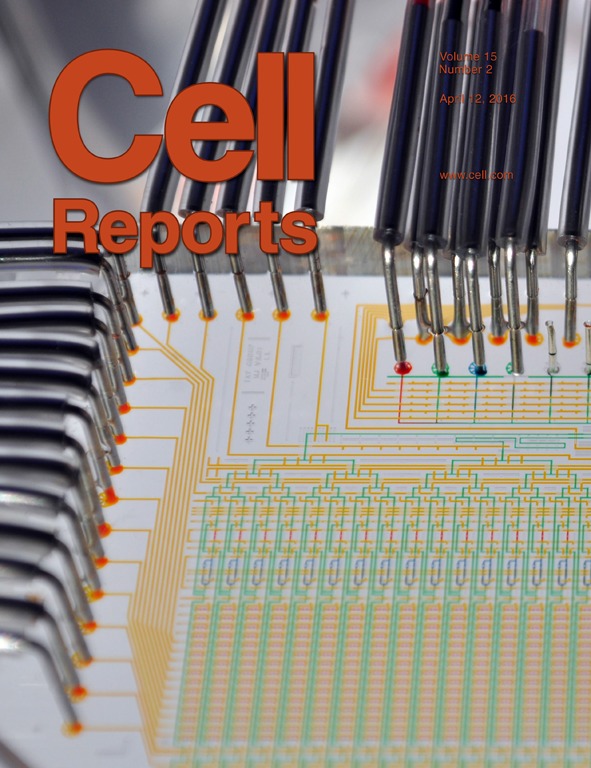 Cover of Cell Reports, featuring study using the protocol.