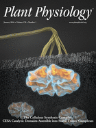 Cover of Plant Physiology, featuring study using the protocol.