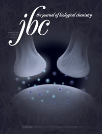 Cover of The Journal of Biological Chemistry, featuring study using the protocol.