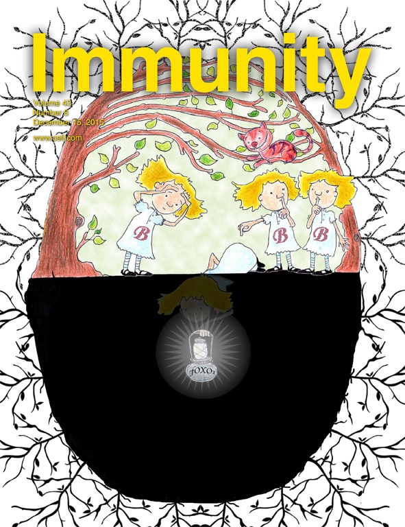Cover of Immunity, featuring study using the protocol.