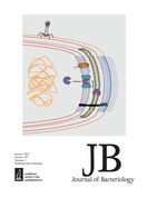 Cover of Journal of Bacteriology, featuring study using the protocol.