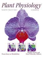 Cover of Plant Physiology, featuring study using the protocol.