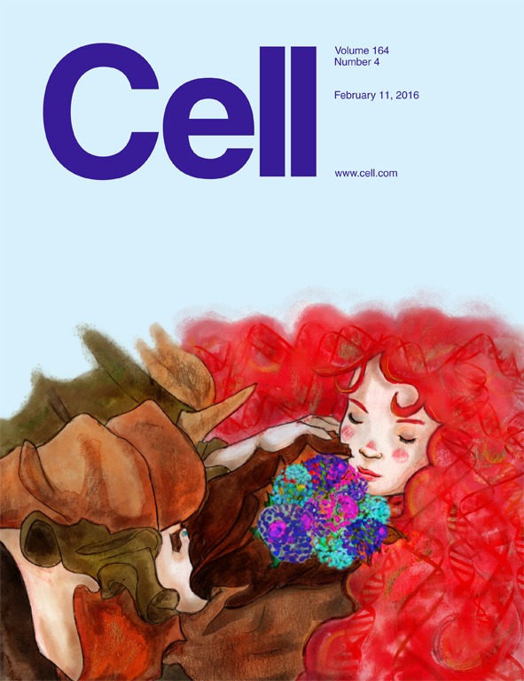 Cover of Cell, featuring study using the protocol.