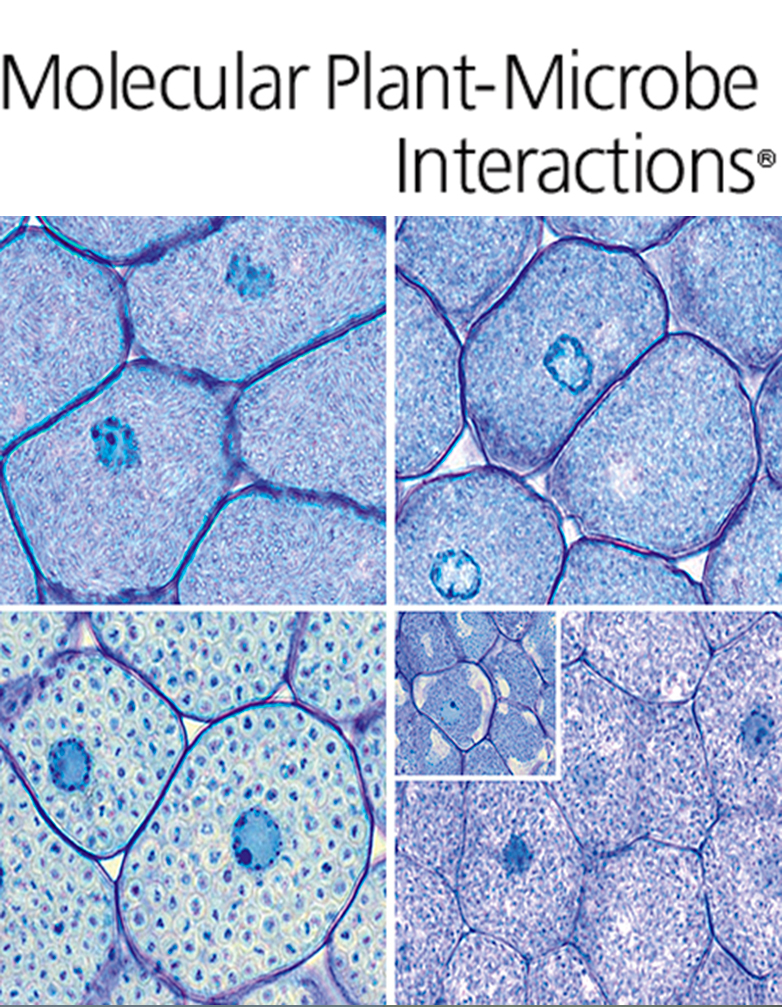 Cover of Molecular Plant Microbe Interactions, featuring study using the protocol.