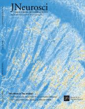 Cover of The Journal of Neuroscience, featuring study using the protocol.