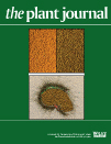 Cover of The Plant Journal, featuring study using the protocol.
