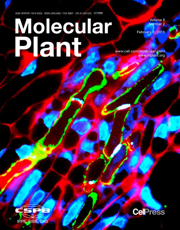 Cover of Molecular Plant, featuring study using the protocol.
