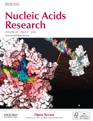 Cover of Nucleic Acids Research, featuring study using the protocol.
