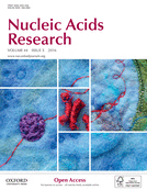 Cover of Nucleic Acids Research, featuring study using the protocol.