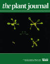 Cover of The Plant Journal, featuring study using the protocol.