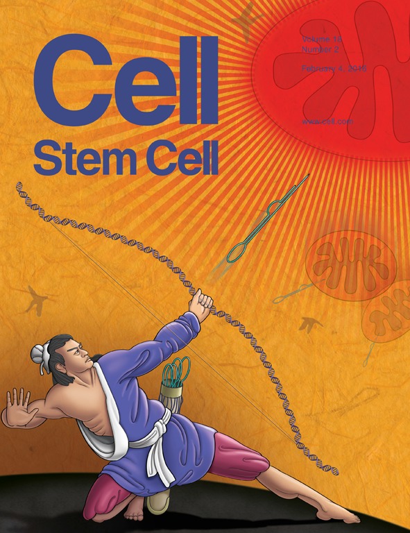 Cover of Cell Stem Cell, featuring study using the protocol.