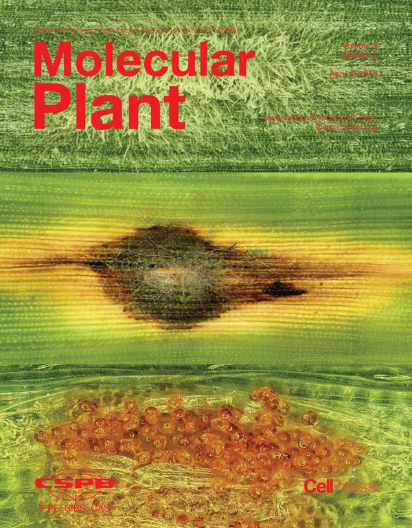Cover of Molecular Plant, featuring study using the protocol.