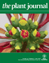 Cover of The Plant Journal, featuring study using the protocol.