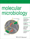 Cover of Scientific Reports, featuring study using the protocol.