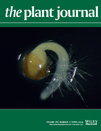Cover of The Plant Cell, featuring study using the protocol.