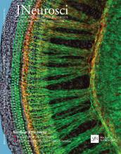 Cover of The Journal of Neuroscience, featuring study using the protocol.