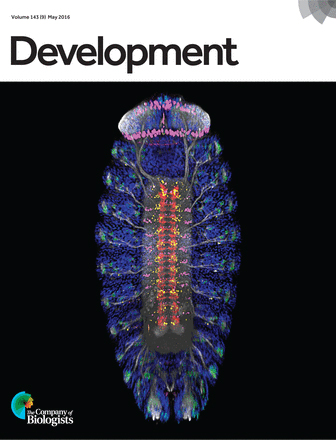 Cover of Development, featuring study using the protocol.