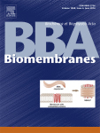 Cover of Biochimica et Biophysica Acta, featuring study using the protocol.