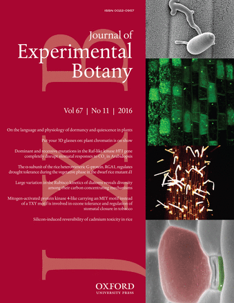 Cover of Journal of Experimental Botany, featuring study using the protocol.