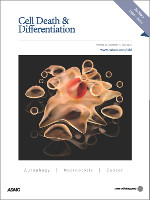 Cover of Cell Death & Differentiation, featuring study using the protocol.